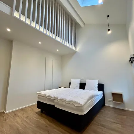 Cerf Du Grand Fond * 비엘살름